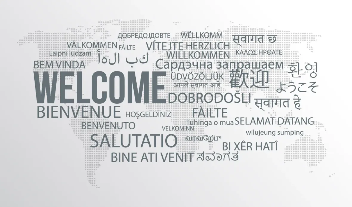 Language customization